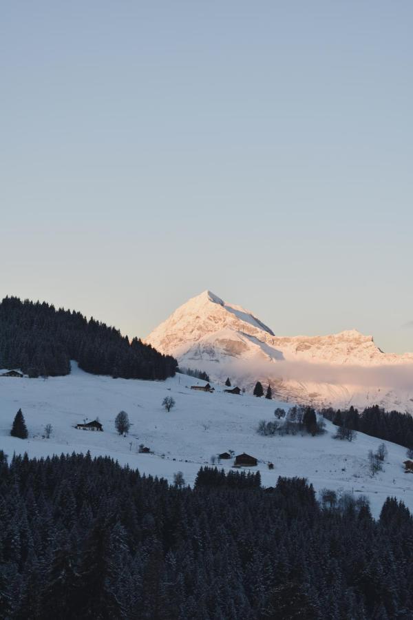 Chez Nonna - Charmant Demi-Chalet A La Montagne Notre-Dame-de-Bellecombe Kültér fotó